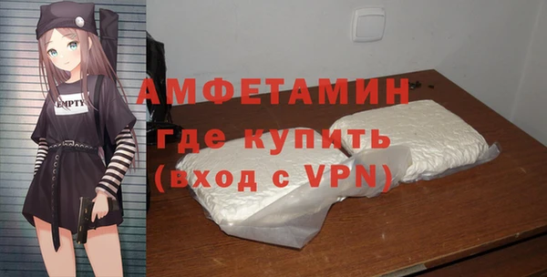 хмурый Аркадак