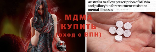 хмурый Аркадак