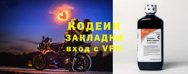 хмурый Аркадак