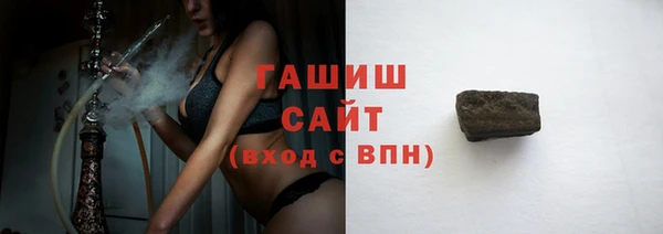 хмурый Аркадак