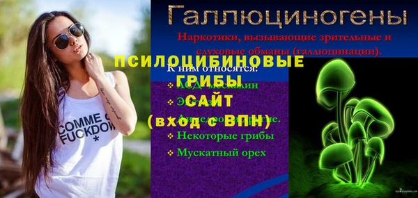 хмурый Аркадак