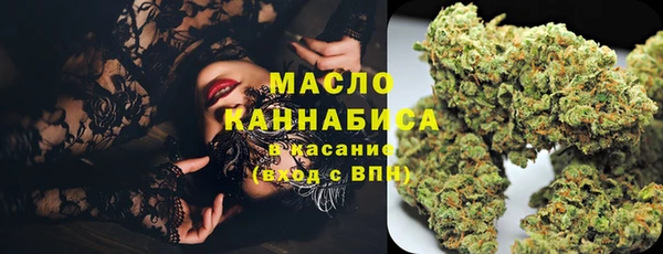 хмурый Аркадак