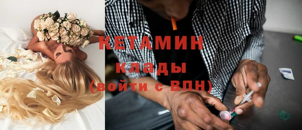хмурый Аркадак