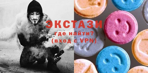 хмурый Аркадак