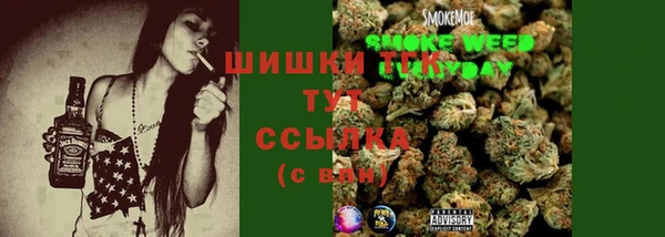 хмурый Аркадак